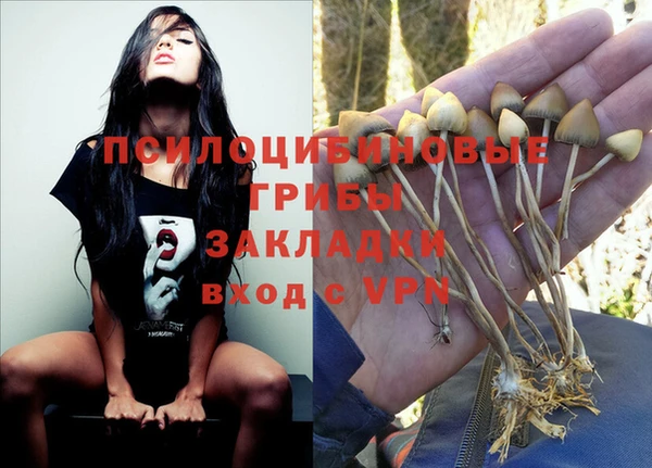 гашик Балабаново
