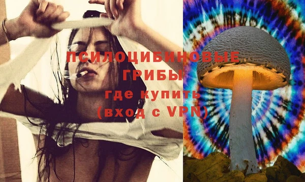 гашик Балабаново