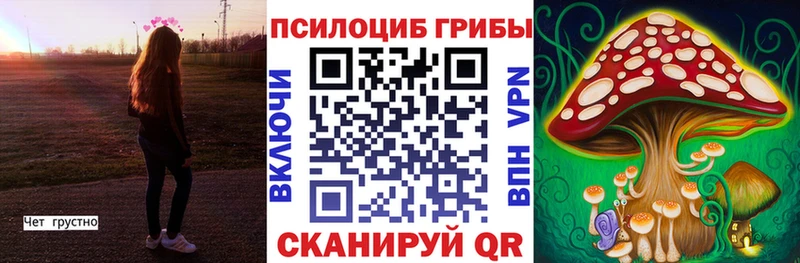продажа наркотиков  Унеча  omg как войти  Псилоцибиновые грибы мицелий 